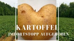 Import - Kartoffel
