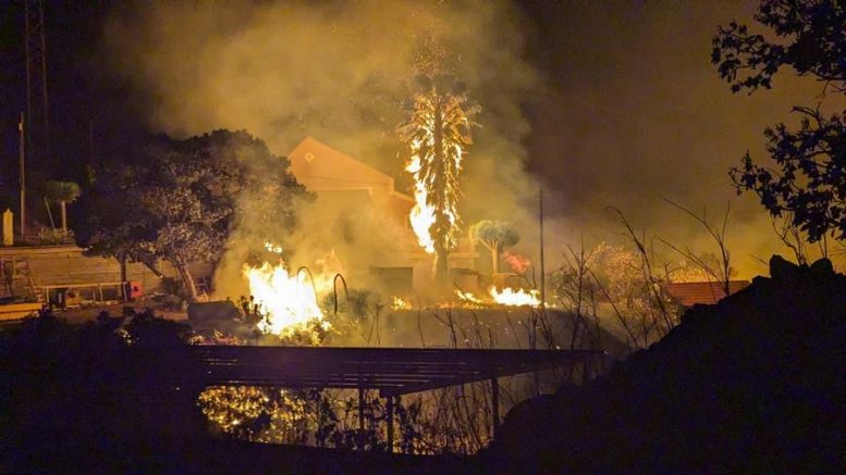 Waldbrand - Klimakollaps