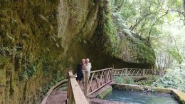Bioreservat Los Tilos