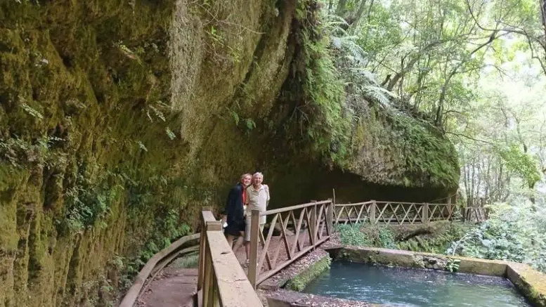 Bioreservat Los Tilos