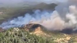 Teneriffa - Waldbrand
