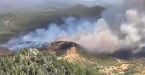 Teneriffa - Waldbrand