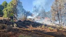 Feuer - Brandstiftung