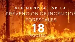 Feuer - Waldbrandverhütung