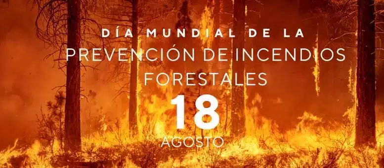 Feuer - Waldbrandverhütung