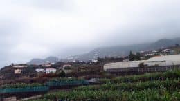 Niederschlag - Augustregen