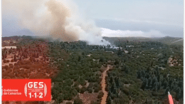 EL Hierro - Waldbrand