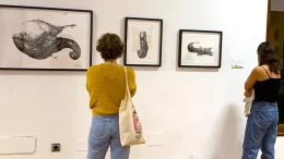 Ausstellung: Klimakunst