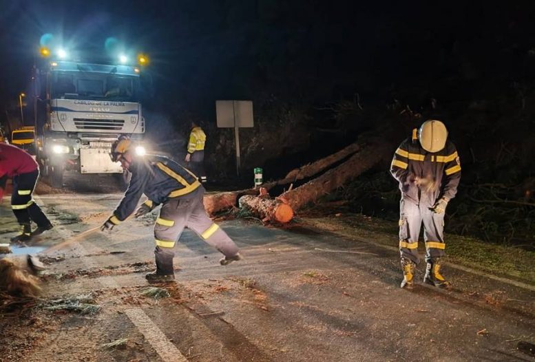 Umgestürzte Bäume - Sturmtief