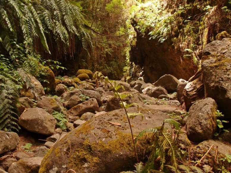 Barranco de la Galga