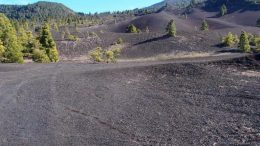 Wandern durch das Lavafeld der Llano del Jable