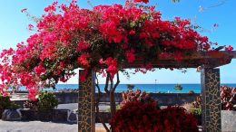 La Palma Wetter Westen/ In Tazacorte im Westen von La Palma scheint oft die Sonne