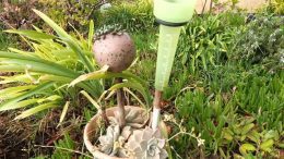 Sturmtief Theres Regenwetter -Mein voller Regenmesser