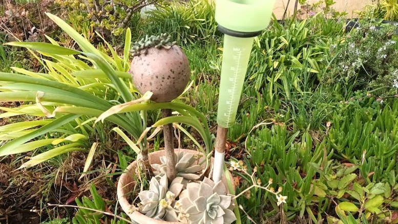 Sturmtief Theres Regenwetter -Mein voller Regenmesser