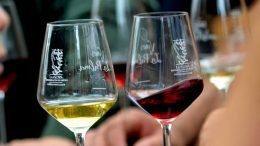 Weine von La Palma / Rot - oder Weißwein für Genießer