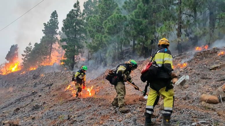 Waldbrandbekämpfung La Palma