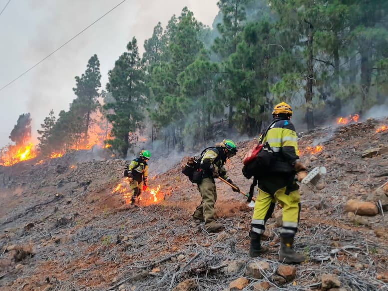 Waldbrandbekämpfung La Palma