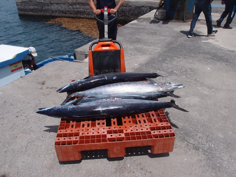 Fischfang in Pueto de Tazacorte/ Arbeitsmarktdaten La Palma