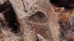 Steinmaske der Guanchen Ureinwohner La Palma