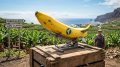 Titelbild-Illustration zum USA-Irankrieg auf La Palma: Eine Banane als Rakete symbolisiert die wirtschaftlichen Auswirkungen des fernen Krieges auf die Insel, insbesondere auf den Bananenexport und die Agrarwirtschaft.