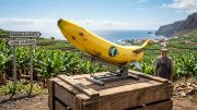 Titelbild-Illustration zum USA-Irankrieg auf La Palma: Eine Banane als Rakete symbolisiert die wirtschaftlichen Auswirkungen des fernen Krieges auf die Insel, insbesondere auf den Bananenexport und die Agrarwirtschaft.