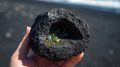 Olivin in einer Lavaknolle/ Mineralien La Palma