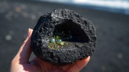Olivin in einer Lavaknolle/ Mineralien La Palma