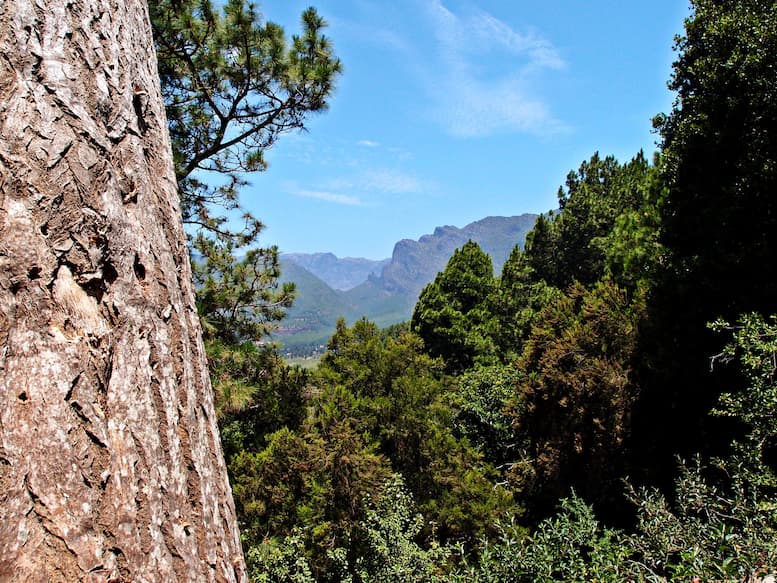 Blick auf die Caldera de Taburiente auf La Palma