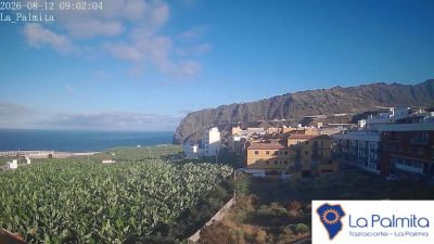 Webcam Tazacorte