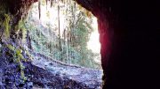 Wasserstollenausgang der Marcos y Corderos Quellen auf La Palma/ Trinkwasser La Palma