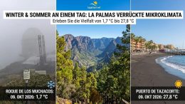 Wetter La Palma Temperaturunterschiede Mikroklima